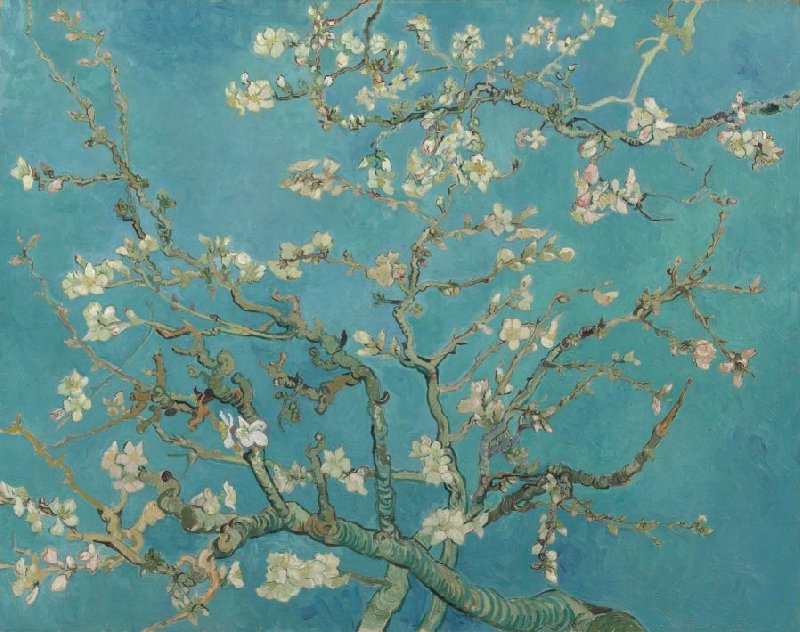 vangoghmuseum s0176v1962 800